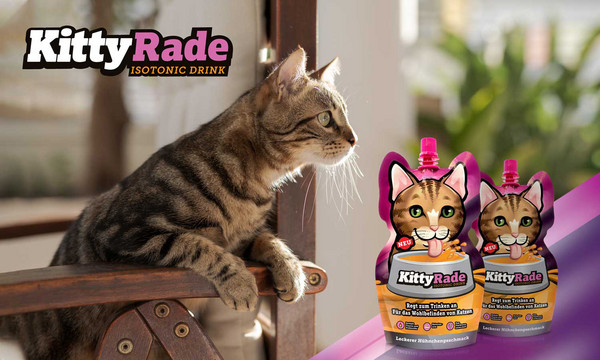 KittyRade Prebiotischer Katzendrink, 250 ml
