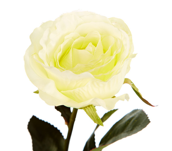 Kunstblume Rose Equador, 50 cm