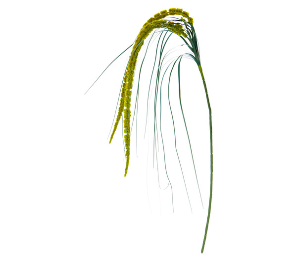 Kunstpflanze Amaranthus, 70 cm