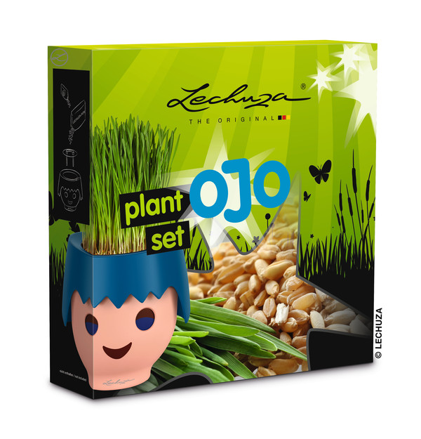LECHUZA® OJO Pflanzset mit Weizengras-Samen, ca. B25/H24/T6 cm
