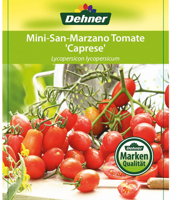 Mini San Marzano Tomate