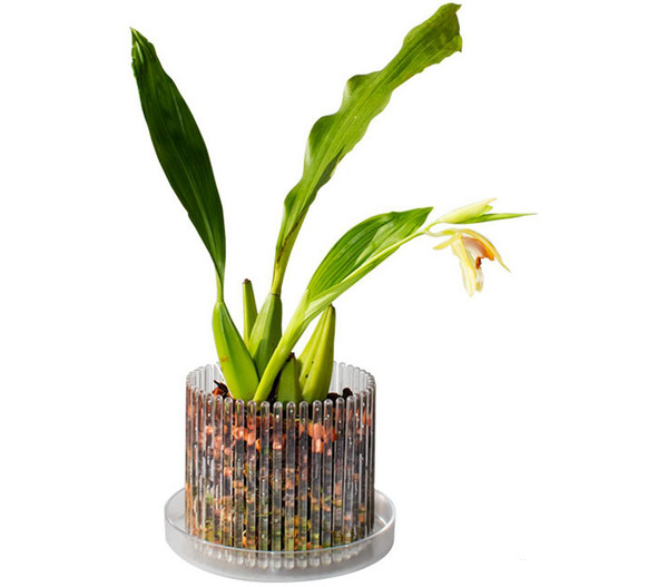 Orchitop® Orchideentopf S Set, rund, ca. Ø10 cm