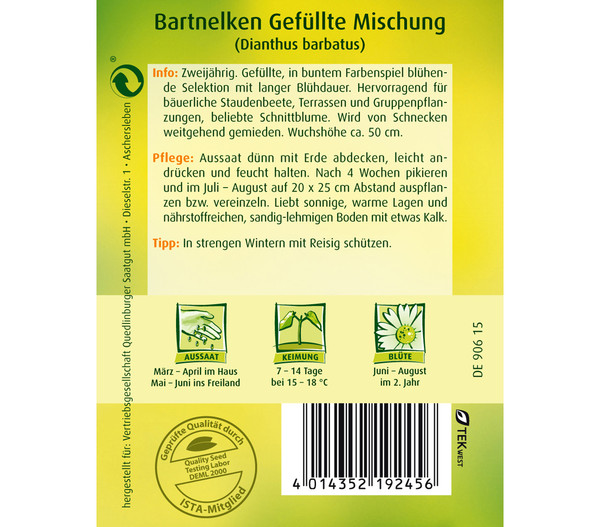 Quedlinburger Samen Bartnelke 'Gefüllte Mischung'