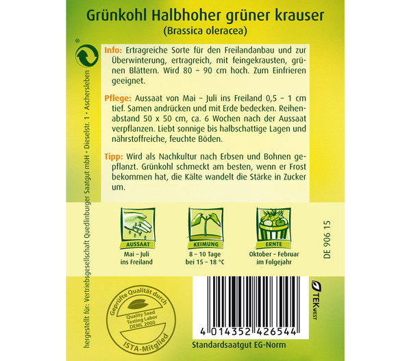 Quedlinburger Samen Grünkohl 'Halbhoher Grüner Krauser'