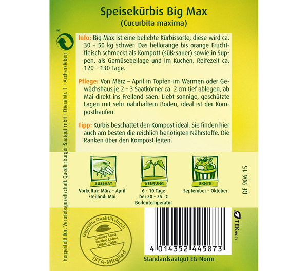 Quedlinburger Samen Speisekürbis 'Big Max'