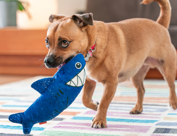 Red Dingo Hundespielzeug DURABLES Toys Hai