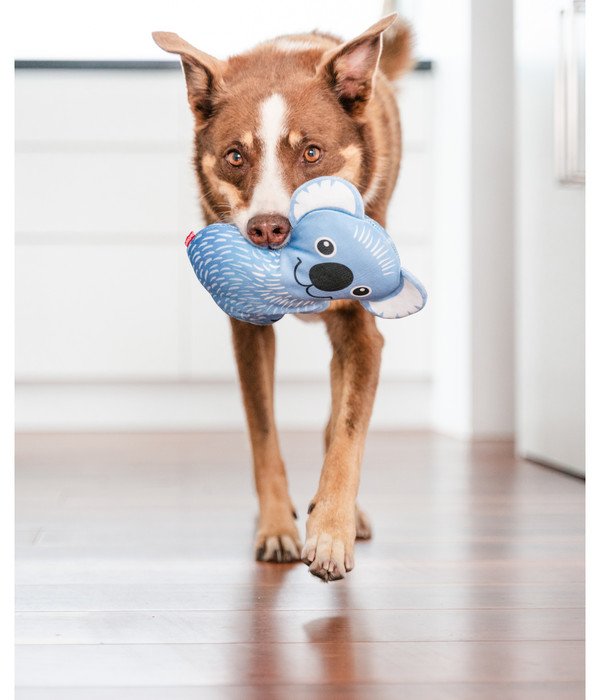 Red Dingo Hundespielzeug DURABLES Toys Koala