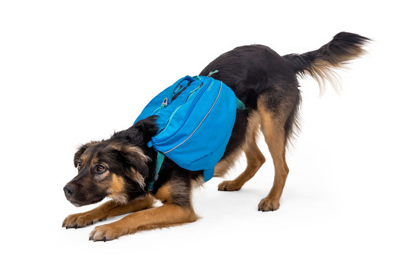 RUFFWEAR® Hundegeschirr Approach™ Pack