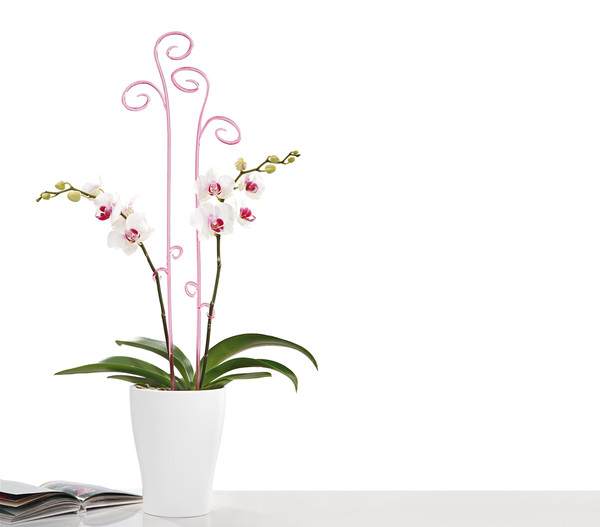 Scheurich Orchideenstab, 60 cm