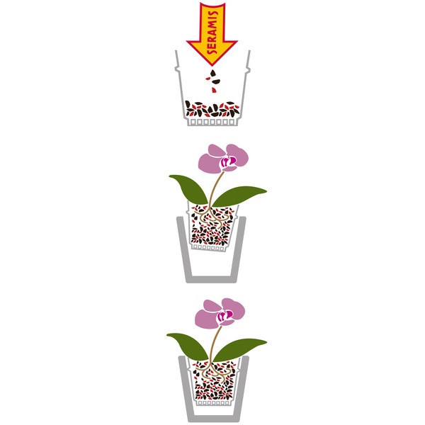 Seramis 2,5L Spezial-Substrat für Orchideen ersetzt Erde Topfpflanze Wachstum 