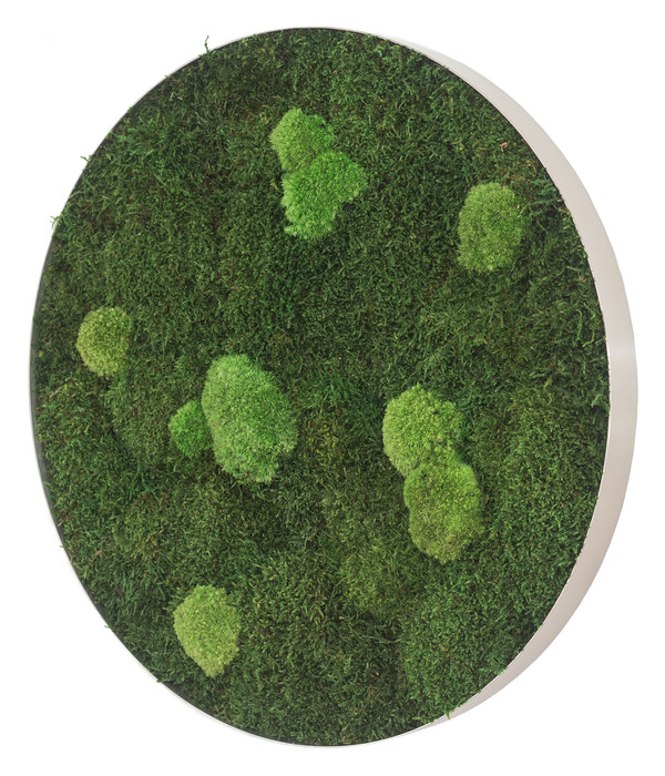 styleGREEN Bild aus Wald- und Kugelmoos, kreisförmig, ca. Ø54 cm