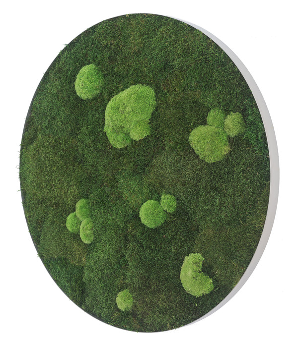 styleGREEN Bild aus Wald- und Kugelmoos, kreisförmig, ca. Ø80 cm