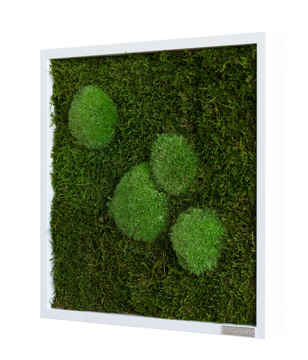 styleGREEN Bild aus Wald- und Kugelmoos, quadratisch, ca. B35/H35/T6 cm
