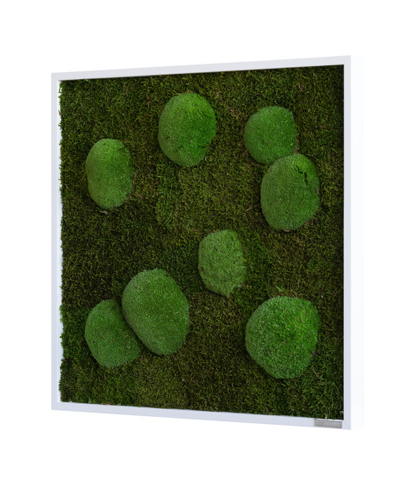 styleGREEN Bild aus Wald- und Kugelmoos, quadratisch, ca. B55/H55/T6 cm