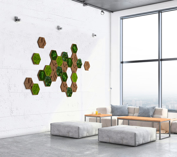 styleGREEN Bilder-Set aus Moos und Kork, Hexagon, 25-teilig