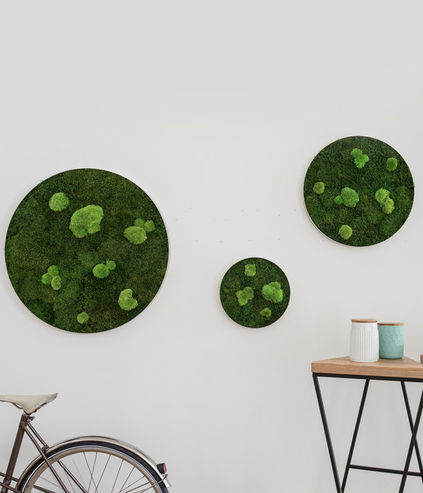 styleGREEN Bilder-Set aus Wald- und Kugelmoos, kreisförmig, 3-teilig