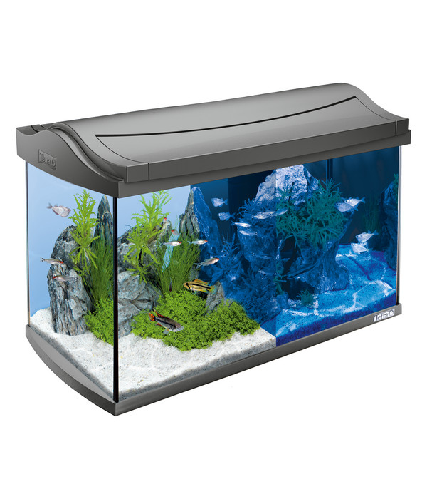 Tetra AquaArt LED Aquarium-Set, 60 Liter