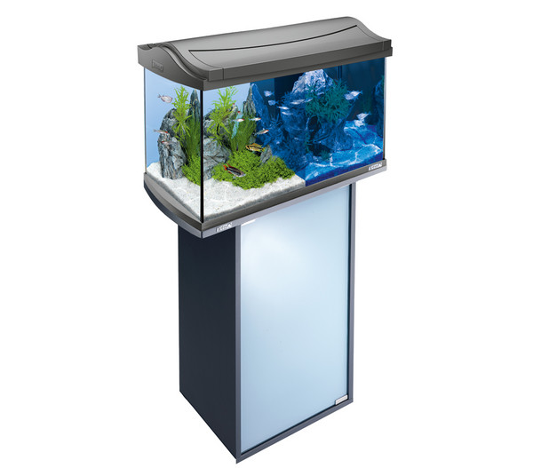 Auf welche Faktoren Sie zu Hause bei der Wahl der Tetra 60l aquarium Acht geben sollten