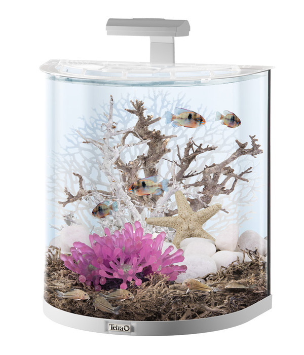 Tetra 60l aquarium - Alle Produkte unter der Vielzahl an verglichenenTetra 60l aquarium