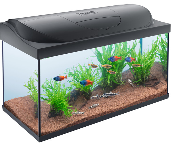Tetra Aquarium-Set Starter Line LED, 105 l, ca. B76/H48/T37 cm