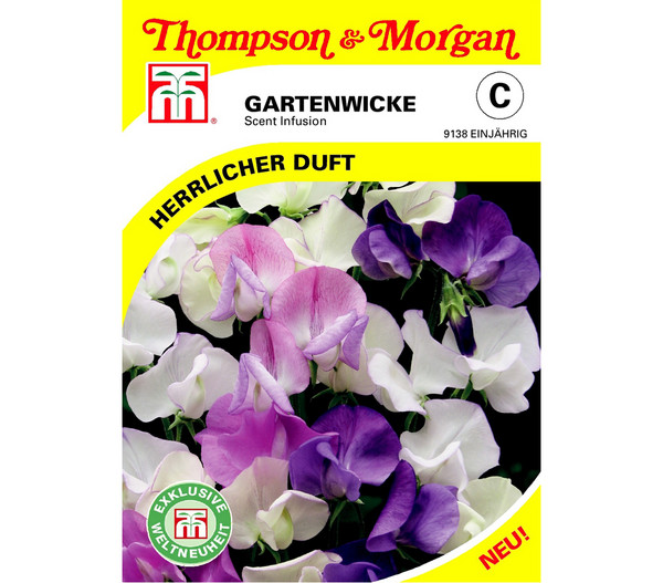 Thompson & Morgan Samen Gartenwicke 'Scent Infusion'