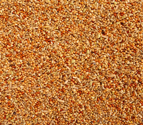 Trill® Nutrivit Saaten-Vielfalt für Sittiche, 1 kg