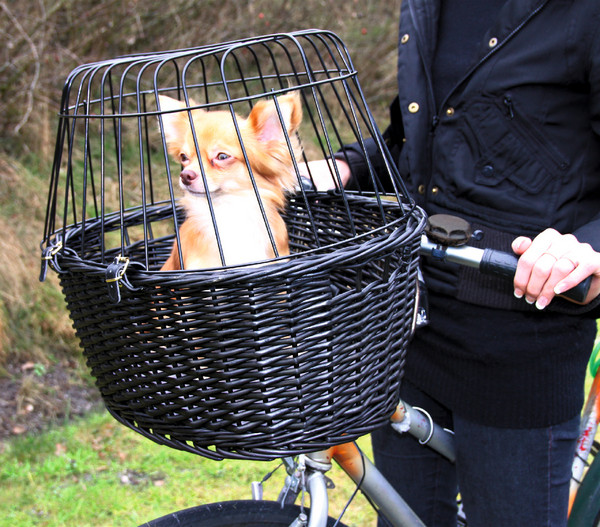 Trixie Fahrradkorb mit Gitter für Hunde