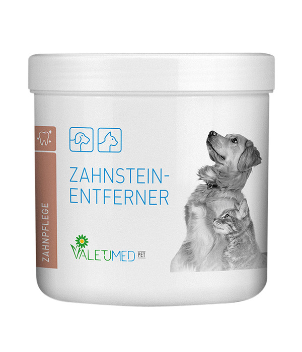 VALETUMED Zahnsteinentferner, 300 g