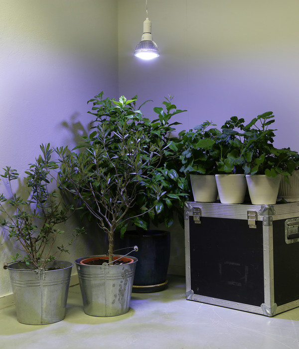 Venso LED-Pflanzenlampe Winter, 18 W