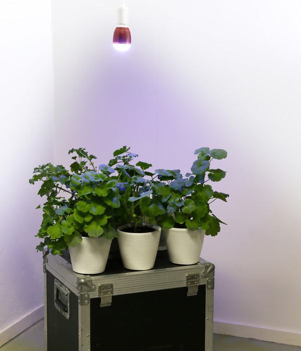 Venso LED-Pflanzenlampe Winter, 7 W