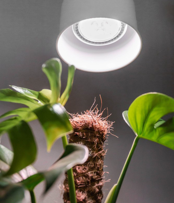 Venso Pflanzenlampe Indoor Plants, 18 Watt
