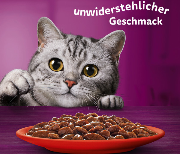 Whiskas® Nassfutter für Katzen Multipack Jumbo Klassische Auswahl in Sauce, Adult, 80 x 85 g