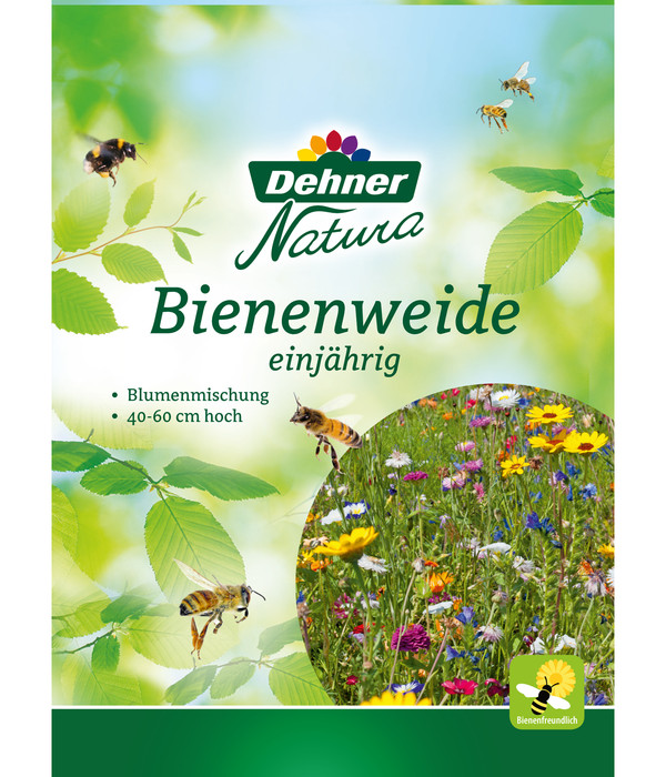 Blumengarten Bienenweide für bis zu 500m² von Blühking® Blühmischung Blumenmischung Blumenwiese 500gr