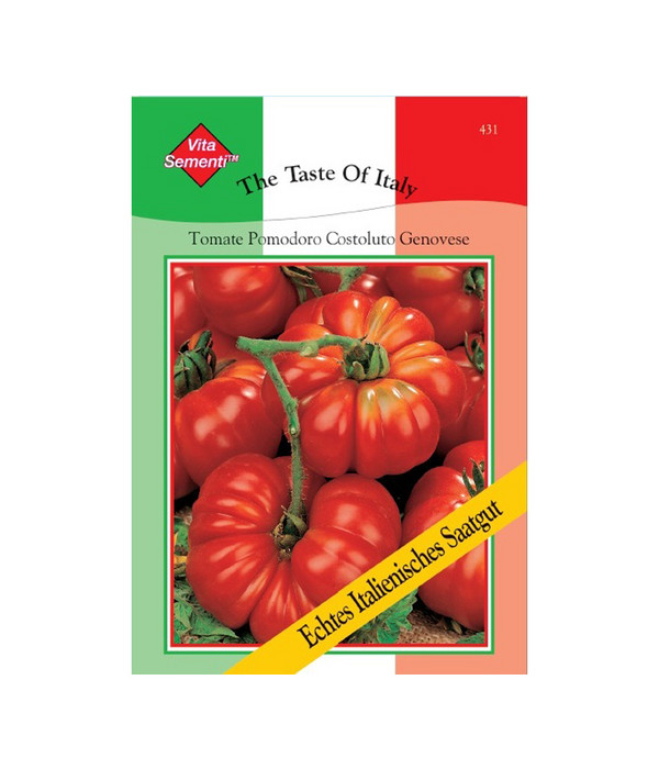 Samen SAFTIG und FEIN! Tomate Costoluto Genovese 10 