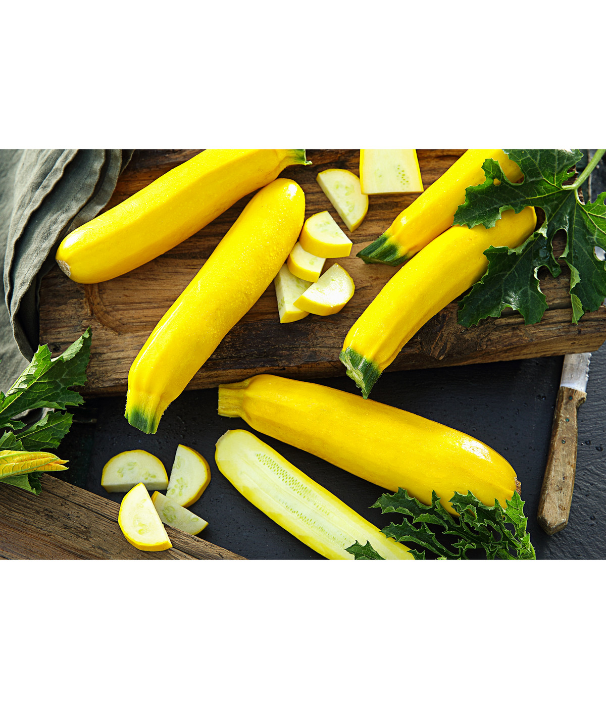 Zucchini, gelb | Dehner